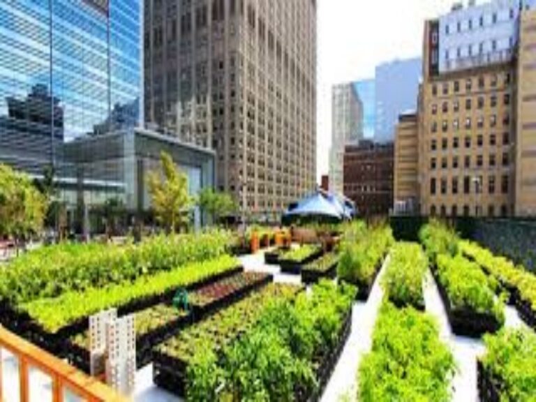 Agricultura urbana e segurança alimentar