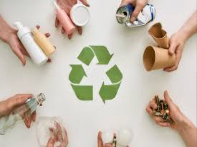 Consumo sustentável e responsabilidade social