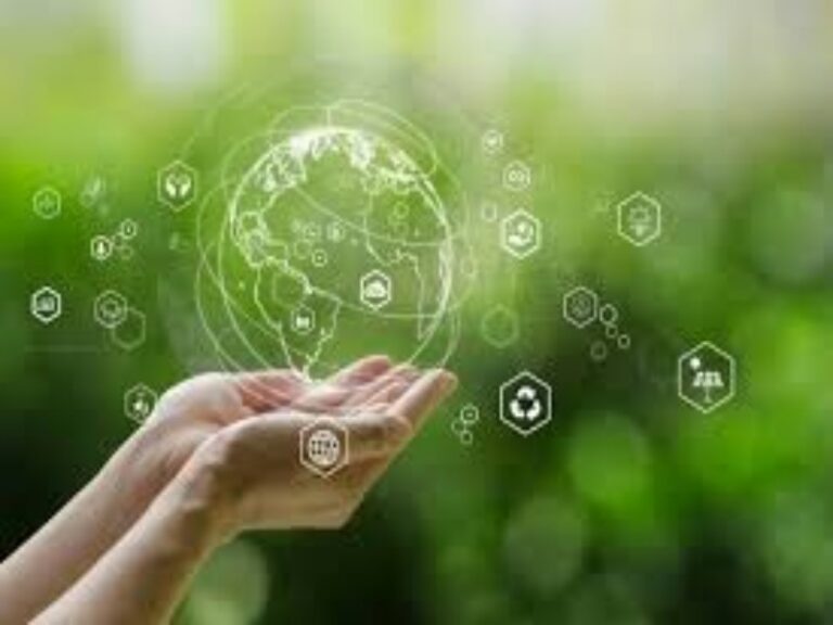 Inovação social e empreendedorismo de impacto